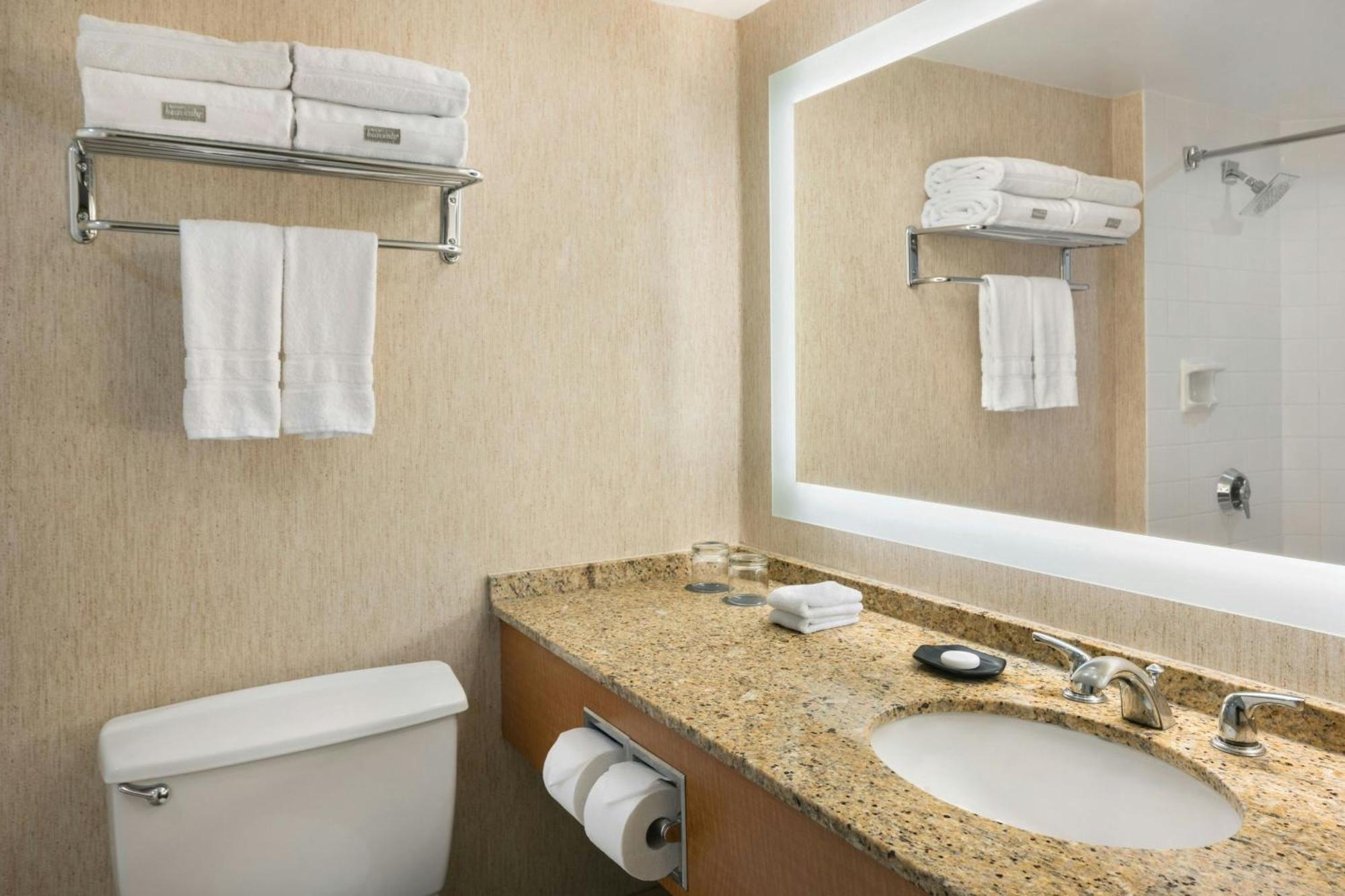 Deluxe Larger Guest room 1 King City view Deluxe Wing